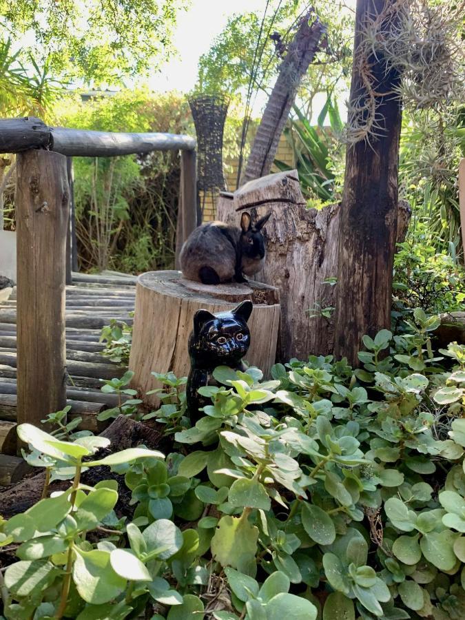 The Little Hideaway Guesthouse ステレンボッシュ エクステリア 写真