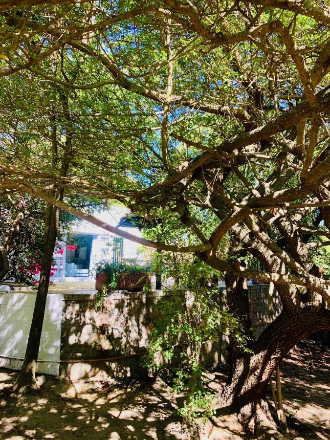 The Little Hideaway Guesthouse ステレンボッシュ エクステリア 写真